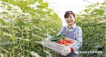 破解農(nóng)產(chǎn)品賣難 四大癥結(jié)與四大對(duì)策