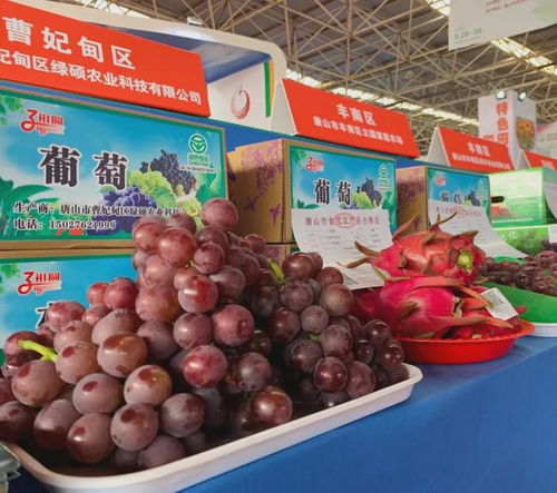 九月唐山川云翠 第九屆唐山農(nóng)產(chǎn)品展示交易會(huì)暨樂亭現(xiàn)代農(nóng)業(yè)博覽會(huì)啟幕2023