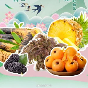 全國優(yōu)質(zhì)農(nóng)產(chǎn)品推薦地圖 探尋鄉(xiāng)土本味