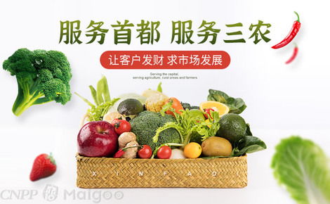 新發(fā)地品牌介紹 鏈接田間與餐桌的農(nóng)產(chǎn)品流通樞紐